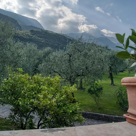 Hotel Andreis