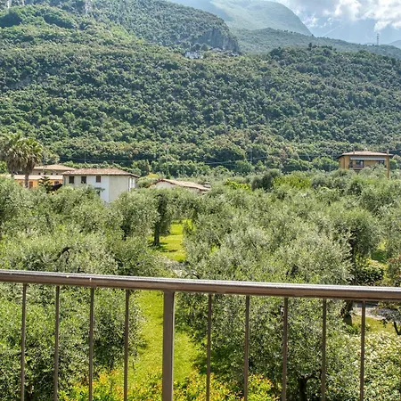 Hotel Andreis 3*