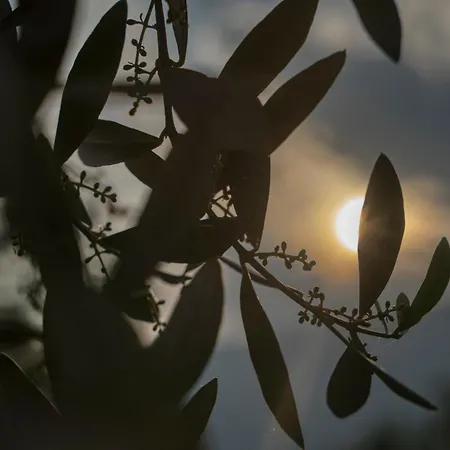 Hotel Andreis Malcesine